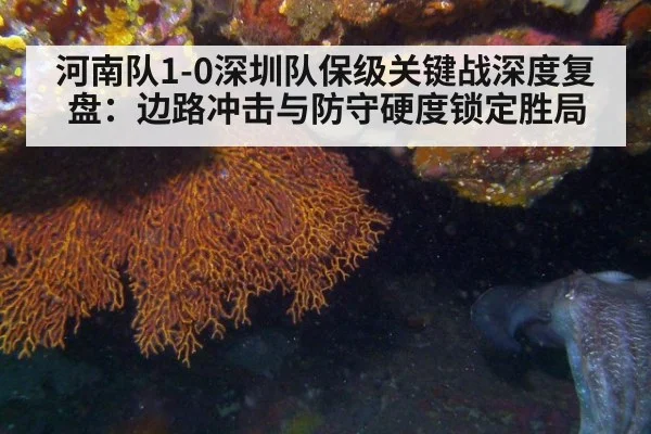河南队1-0深圳队保级关键战深度复盘:边路冲击与防守硬度锁定胜局